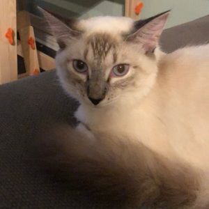 Meet your Posher, Anna